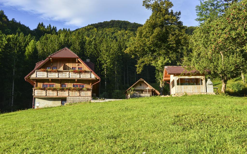 Apartments Petek Gornji Grad Oda fotoğraf