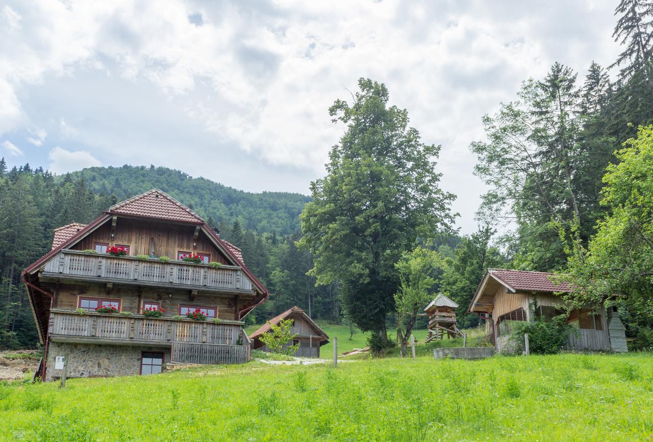 Apartments Petek Gornji Grad Dış mekan fotoğraf