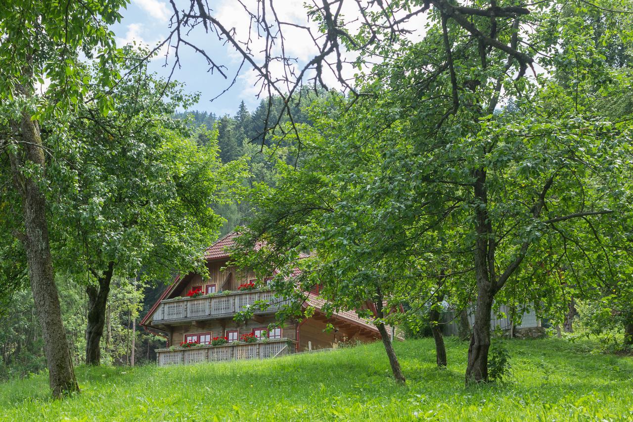 Apartments Petek Gornji Grad Dış mekan fotoğraf